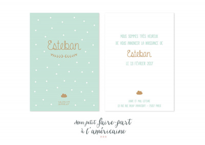 Mon petit faire part - Naissance - Faire part modèles garçons - réf. 161 - 3595