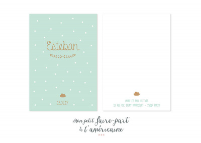 Mon petit faire part - Naissance - Faire part modèles garçons - réf. 161 - 3598